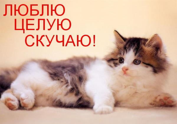 вот так хочу тебя обнять и поцеловать картинки мужчине. Смотреть фото вот так хочу тебя обнять и поцеловать картинки мужчине. Смотреть картинку вот так хочу тебя обнять и поцеловать картинки мужчине. Картинка про вот так хочу тебя обнять и поцеловать картинки мужчине. Фото вот так хочу тебя обнять и поцеловать картинки мужчине вот так хочу тебя обнять и поцеловать картинки мужчине. Смотреть фото вот так хочу тебя обнять и поцеловать картинки мужчине. Смотреть картинку вот так хочу тебя обнять и поцеловать картинки мужчине. Картинка про вот так хочу тебя обнять и поцеловать картинки мужчине. Фото вот так хочу тебя обнять и поцеловать картинки мужчине