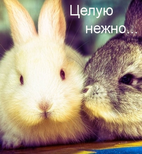 вот так хочу тебя обнять и поцеловать картинки мужчине. Смотреть фото вот так хочу тебя обнять и поцеловать картинки мужчине. Смотреть картинку вот так хочу тебя обнять и поцеловать картинки мужчине. Картинка про вот так хочу тебя обнять и поцеловать картинки мужчине. Фото вот так хочу тебя обнять и поцеловать картинки мужчине вот так хочу тебя обнять и поцеловать картинки мужчине. Смотреть фото вот так хочу тебя обнять и поцеловать картинки мужчине. Смотреть картинку вот так хочу тебя обнять и поцеловать картинки мужчине. Картинка про вот так хочу тебя обнять и поцеловать картинки мужчине. Фото вот так хочу тебя обнять и поцеловать картинки мужчине