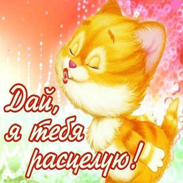 вот так хочу тебя обнять и поцеловать картинки мужчине. Смотреть фото вот так хочу тебя обнять и поцеловать картинки мужчине. Смотреть картинку вот так хочу тебя обнять и поцеловать картинки мужчине. Картинка про вот так хочу тебя обнять и поцеловать картинки мужчине. Фото вот так хочу тебя обнять и поцеловать картинки мужчине вот так хочу тебя обнять и поцеловать картинки мужчине. Смотреть фото вот так хочу тебя обнять и поцеловать картинки мужчине. Смотреть картинку вот так хочу тебя обнять и поцеловать картинки мужчине. Картинка про вот так хочу тебя обнять и поцеловать картинки мужчине. Фото вот так хочу тебя обнять и поцеловать картинки мужчине