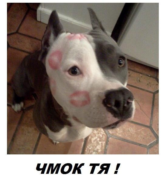 вот так хочу тебя обнять и поцеловать картинки мужчине. Смотреть фото вот так хочу тебя обнять и поцеловать картинки мужчине. Смотреть картинку вот так хочу тебя обнять и поцеловать картинки мужчине. Картинка про вот так хочу тебя обнять и поцеловать картинки мужчине. Фото вот так хочу тебя обнять и поцеловать картинки мужчине вот так хочу тебя обнять и поцеловать картинки мужчине. Смотреть фото вот так хочу тебя обнять и поцеловать картинки мужчине. Смотреть картинку вот так хочу тебя обнять и поцеловать картинки мужчине. Картинка про вот так хочу тебя обнять и поцеловать картинки мужчине. Фото вот так хочу тебя обнять и поцеловать картинки мужчине