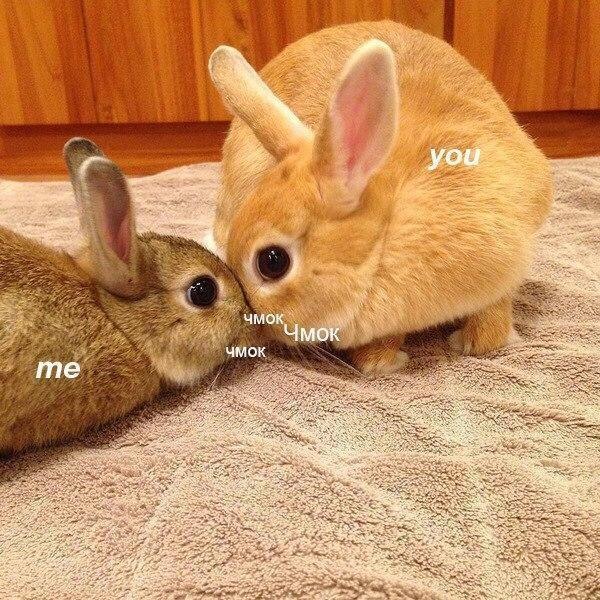 вот так хочу тебя обнять и поцеловать картинки мужчине. Смотреть фото вот так хочу тебя обнять и поцеловать картинки мужчине. Смотреть картинку вот так хочу тебя обнять и поцеловать картинки мужчине. Картинка про вот так хочу тебя обнять и поцеловать картинки мужчине. Фото вот так хочу тебя обнять и поцеловать картинки мужчине вот так хочу тебя обнять и поцеловать картинки мужчине. Смотреть фото вот так хочу тебя обнять и поцеловать картинки мужчине. Смотреть картинку вот так хочу тебя обнять и поцеловать картинки мужчине. Картинка про вот так хочу тебя обнять и поцеловать картинки мужчине. Фото вот так хочу тебя обнять и поцеловать картинки мужчине