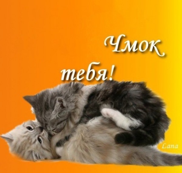 вот так хочу тебя обнять и поцеловать картинки мужчине. Смотреть фото вот так хочу тебя обнять и поцеловать картинки мужчине. Смотреть картинку вот так хочу тебя обнять и поцеловать картинки мужчине. Картинка про вот так хочу тебя обнять и поцеловать картинки мужчине. Фото вот так хочу тебя обнять и поцеловать картинки мужчине вот так хочу тебя обнять и поцеловать картинки мужчине. Смотреть фото вот так хочу тебя обнять и поцеловать картинки мужчине. Смотреть картинку вот так хочу тебя обнять и поцеловать картинки мужчине. Картинка про вот так хочу тебя обнять и поцеловать картинки мужчине. Фото вот так хочу тебя обнять и поцеловать картинки мужчине