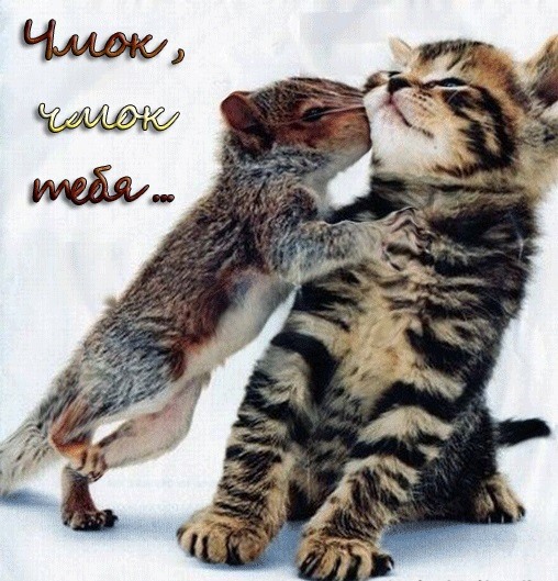 вот так хочу тебя обнять и поцеловать картинки мужчине. Смотреть фото вот так хочу тебя обнять и поцеловать картинки мужчине. Смотреть картинку вот так хочу тебя обнять и поцеловать картинки мужчине. Картинка про вот так хочу тебя обнять и поцеловать картинки мужчине. Фото вот так хочу тебя обнять и поцеловать картинки мужчине вот так хочу тебя обнять и поцеловать картинки мужчине. Смотреть фото вот так хочу тебя обнять и поцеловать картинки мужчине. Смотреть картинку вот так хочу тебя обнять и поцеловать картинки мужчине. Картинка про вот так хочу тебя обнять и поцеловать картинки мужчине. Фото вот так хочу тебя обнять и поцеловать картинки мужчине