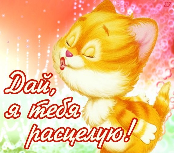 вот так хочу тебя обнять и поцеловать картинки мужчине. Смотреть фото вот так хочу тебя обнять и поцеловать картинки мужчине. Смотреть картинку вот так хочу тебя обнять и поцеловать картинки мужчине. Картинка про вот так хочу тебя обнять и поцеловать картинки мужчине. Фото вот так хочу тебя обнять и поцеловать картинки мужчине вот так хочу тебя обнять и поцеловать картинки мужчине. Смотреть фото вот так хочу тебя обнять и поцеловать картинки мужчине. Смотреть картинку вот так хочу тебя обнять и поцеловать картинки мужчине. Картинка про вот так хочу тебя обнять и поцеловать картинки мужчине. Фото вот так хочу тебя обнять и поцеловать картинки мужчине