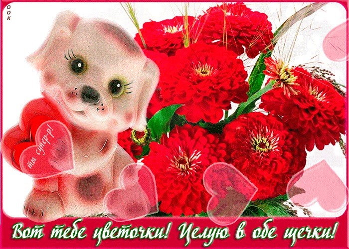 Картинки спасибочки чмоки