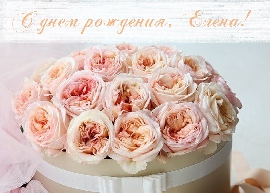 Открытки "С Днем Рождения Елене": ТОП-90 красивых картинок