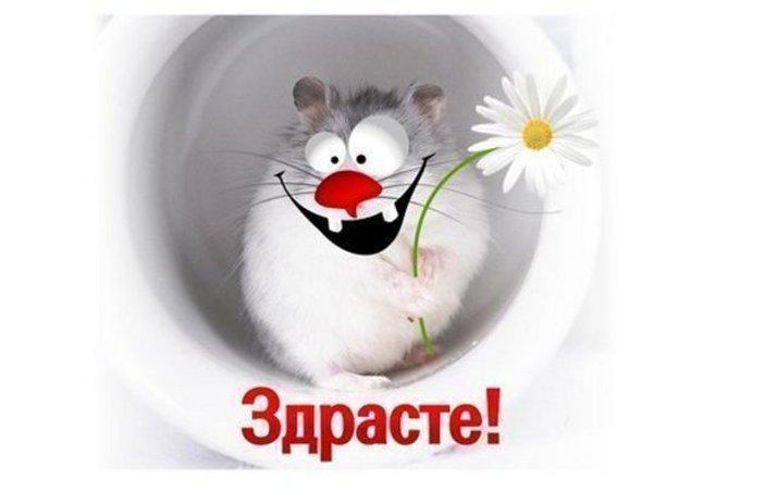 Как смешно поздороваться