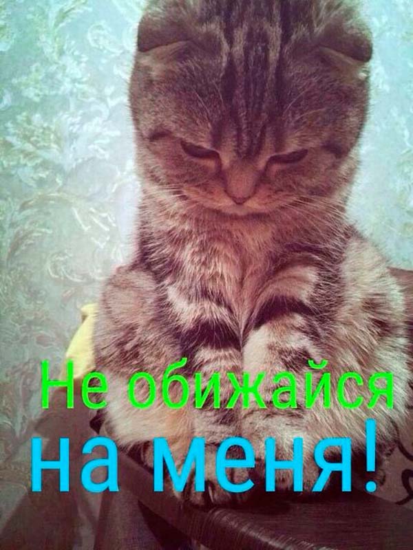 300+ самых красивых картинок "Прости Меня"