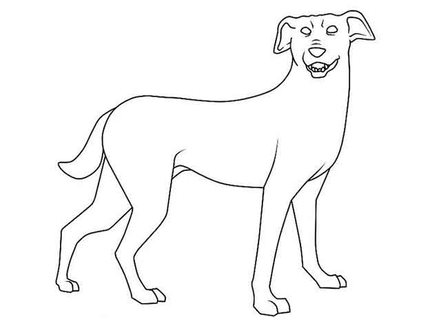 Как нарисовать мультяшную взрослую собаку - сотрите все вспомогательные линии и фигуры.