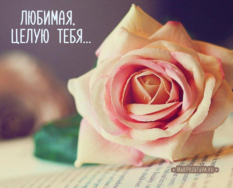 вот так хочу тебя обнять и поцеловать картинки мужчине. Смотреть фото вот так хочу тебя обнять и поцеловать картинки мужчине. Смотреть картинку вот так хочу тебя обнять и поцеловать картинки мужчине. Картинка про вот так хочу тебя обнять и поцеловать картинки мужчине. Фото вот так хочу тебя обнять и поцеловать картинки мужчине вот так хочу тебя обнять и поцеловать картинки мужчине. Смотреть фото вот так хочу тебя обнять и поцеловать картинки мужчине. Смотреть картинку вот так хочу тебя обнять и поцеловать картинки мужчине. Картинка про вот так хочу тебя обнять и поцеловать картинки мужчине. Фото вот так хочу тебя обнять и поцеловать картинки мужчине