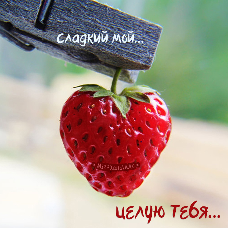 вот так хочу тебя обнять и поцеловать картинки мужчине. Смотреть фото вот так хочу тебя обнять и поцеловать картинки мужчине. Смотреть картинку вот так хочу тебя обнять и поцеловать картинки мужчине. Картинка про вот так хочу тебя обнять и поцеловать картинки мужчине. Фото вот так хочу тебя обнять и поцеловать картинки мужчине вот так хочу тебя обнять и поцеловать картинки мужчине. Смотреть фото вот так хочу тебя обнять и поцеловать картинки мужчине. Смотреть картинку вот так хочу тебя обнять и поцеловать картинки мужчине. Картинка про вот так хочу тебя обнять и поцеловать картинки мужчине. Фото вот так хочу тебя обнять и поцеловать картинки мужчине