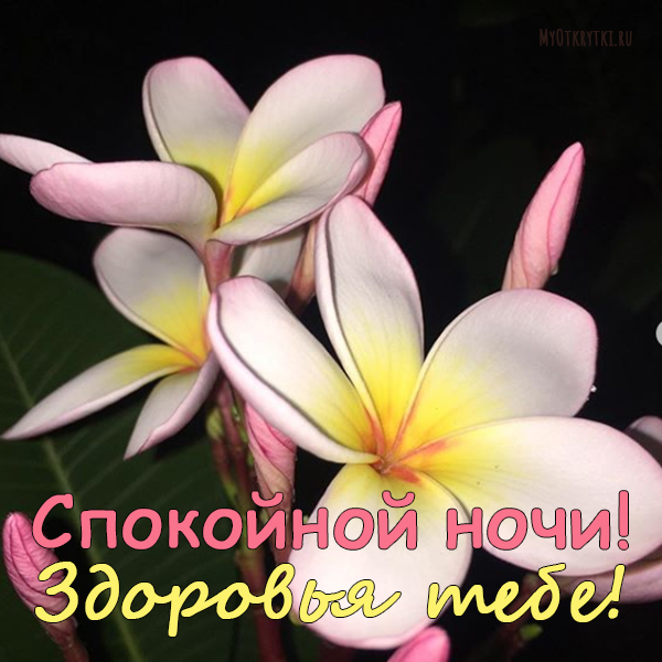 Доброй ночи и здоровья картинки с пожеланиями