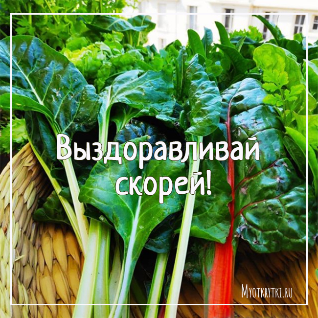 Как самочувствие картинки
