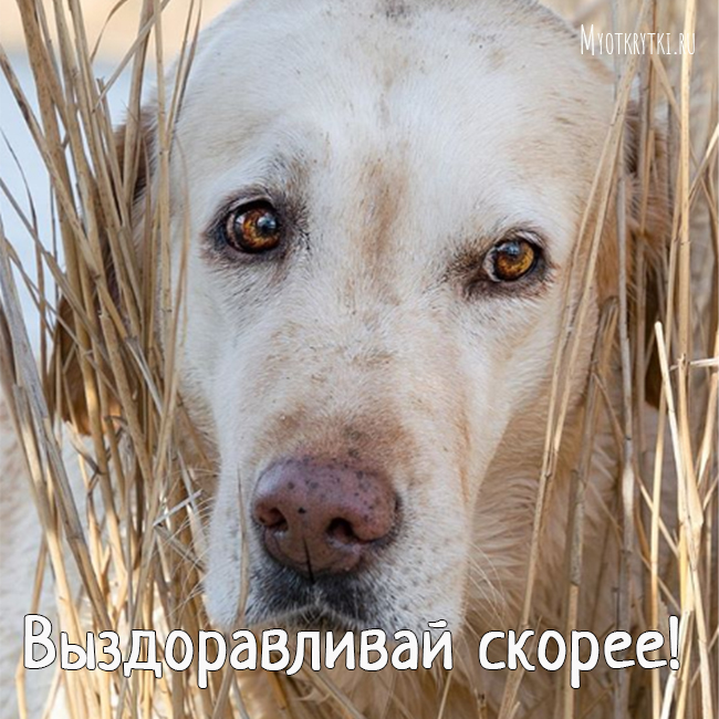 Как самочувствие картинки