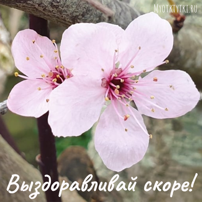 Как самочувствие картинки