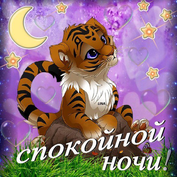 Картинки тигр сладких снов