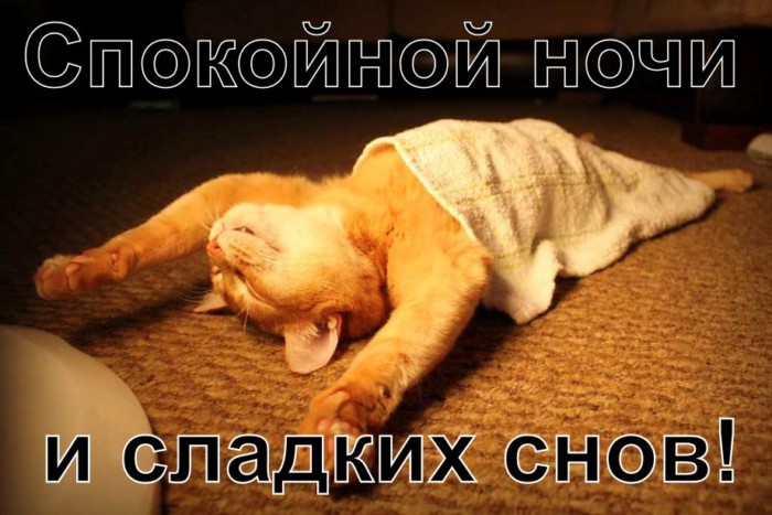 Картинки Спокойной ночи и сладких снов скачать бесплатно