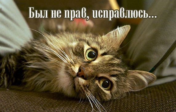 300+ самых красивых картинок "Прости Меня"