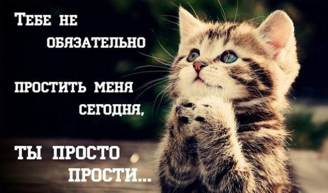 300+ самых красивых картинок "Прости Меня"