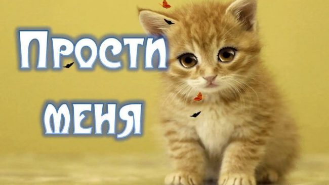 300+ самых красивых картинок "Прости Меня"