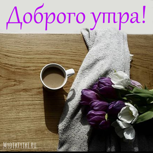доброе утро цветы и кофе