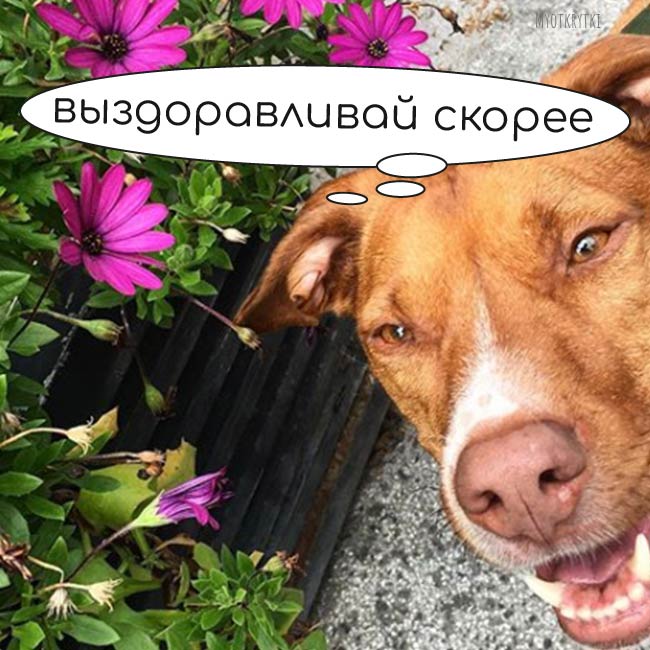 Как самочувствие картинки