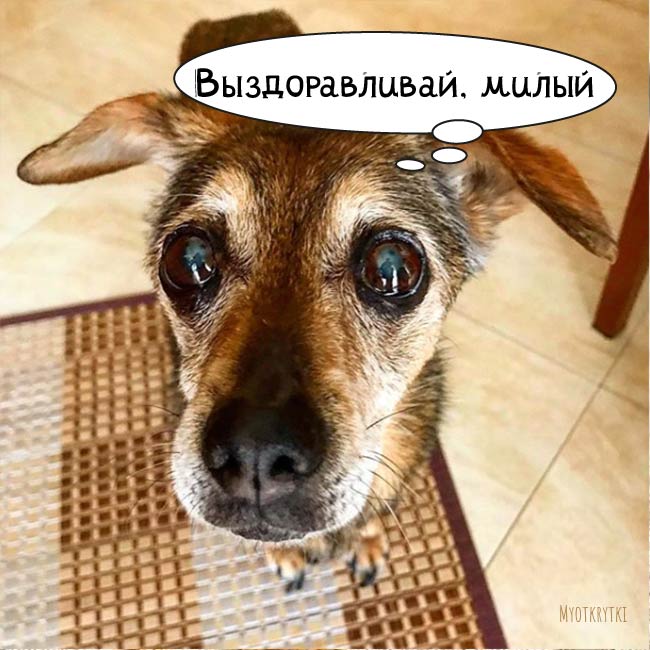 Как самочувствие картинки