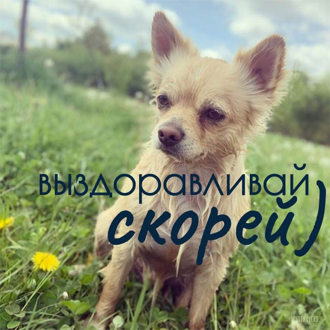 Как самочувствие картинки