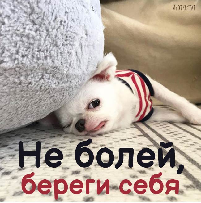 Картинки мужчине не болей береги себя