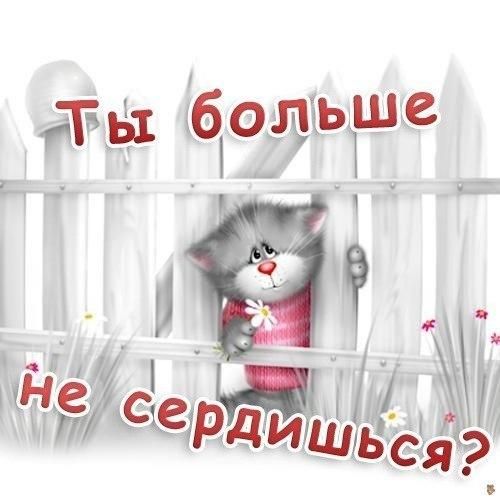 300+ самых красивых картинок "Прости Меня"