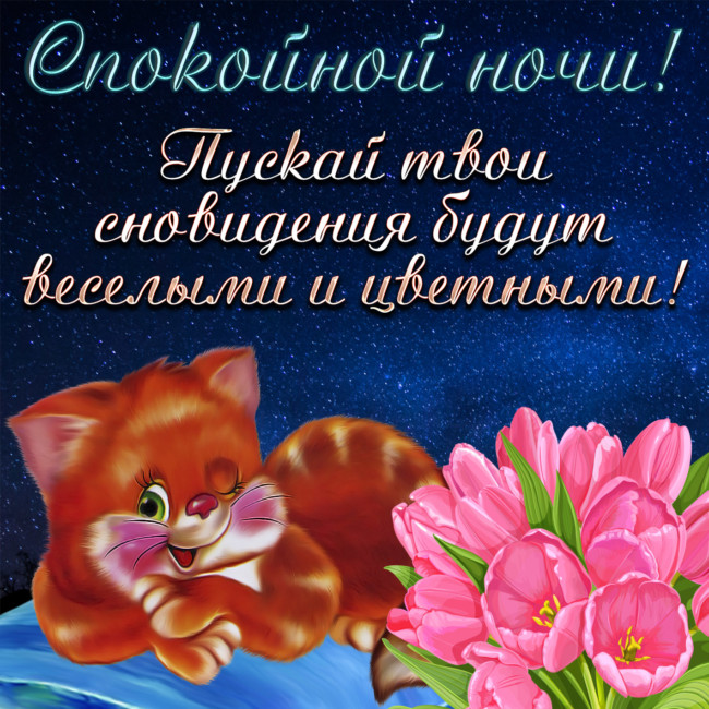 Спокойной ночи и сладких снов картинки красивые и прикольные