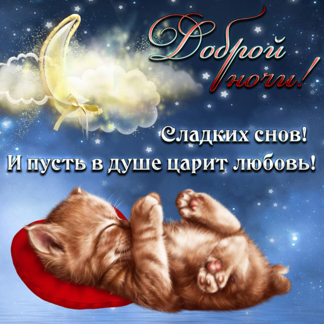 500+ картинок "Спокойной ночи и сладких снов