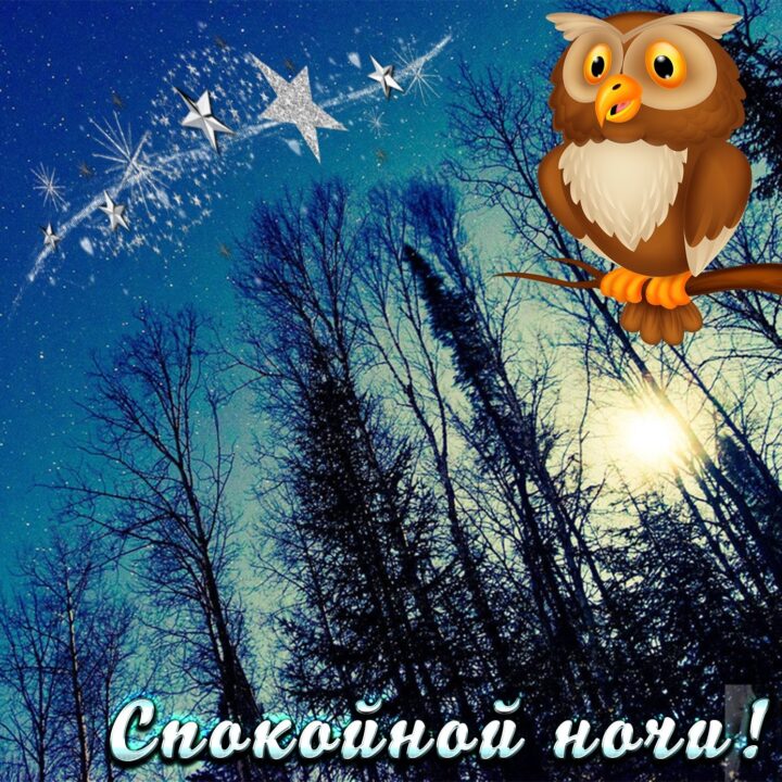 Спокойной ночи и сладких снов! 80 прикольных картинок-открыток