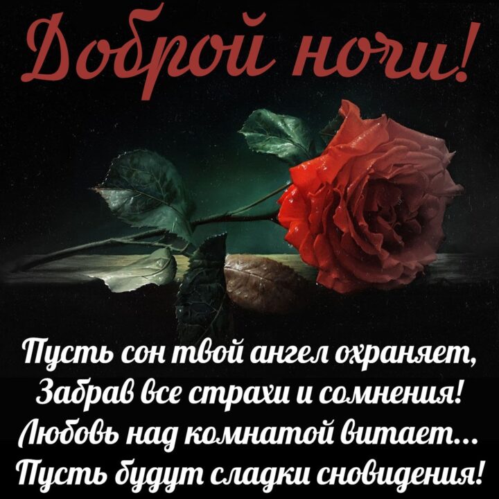 Спокойной ночи и сладких снов! 80 прикольных картинок-открыток