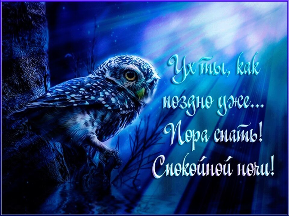 Спокойной ночи и сладких снов! 80 прикольных картинок-открыток