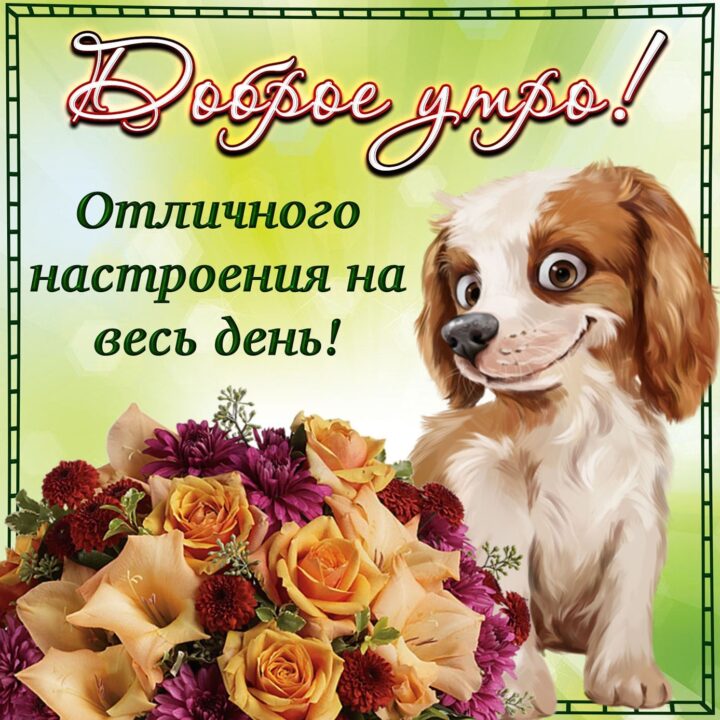 Хорошего дня и отличного настроения! 114 картинок-открыток с добрыми пожеланиями