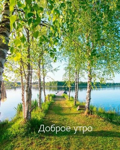 Доброе утро природа