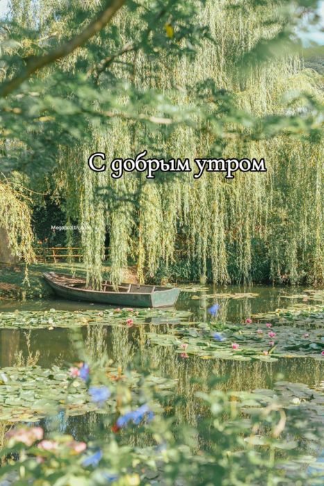 Доброе утро природа
