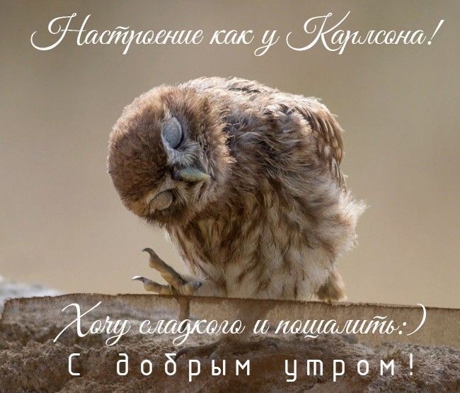 Доброе утро с юмором