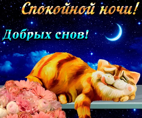 200+ красивых картинок "Спокойной Ночи" (+ необычные)