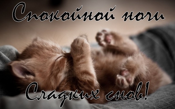 200+ красивых картинок "Спокойной Ночи" (+ необычные)