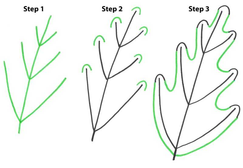 Как нарисовать листья карандашом: поэтапно для начинающих