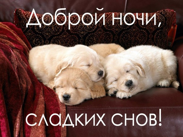 200+ красивых картинок "Спокойной Ночи" (+ необычные)