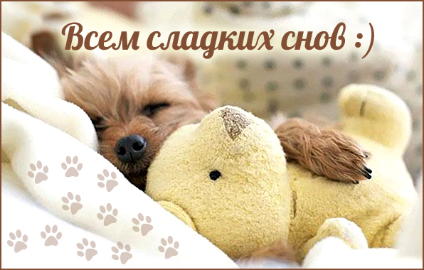 200+ красивых картинок "Спокойной Ночи" (+ необычные)
