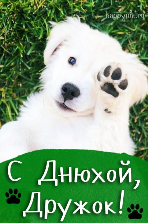 180 прикольных картинок с днем рождения для друга