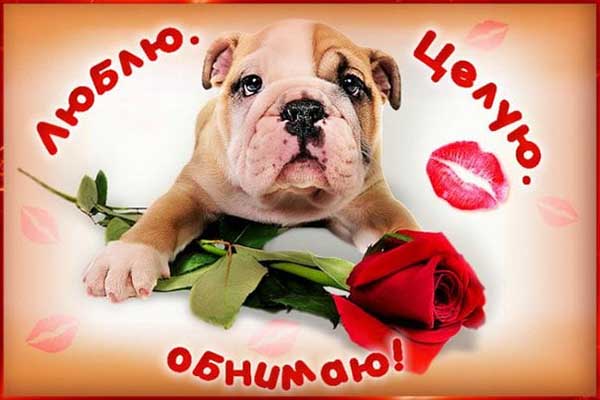 вот так хочу тебя обнять и поцеловать картинки мужчине. Смотреть фото вот так хочу тебя обнять и поцеловать картинки мужчине. Смотреть картинку вот так хочу тебя обнять и поцеловать картинки мужчине. Картинка про вот так хочу тебя обнять и поцеловать картинки мужчине. Фото вот так хочу тебя обнять и поцеловать картинки мужчине вот так хочу тебя обнять и поцеловать картинки мужчине. Смотреть фото вот так хочу тебя обнять и поцеловать картинки мужчине. Смотреть картинку вот так хочу тебя обнять и поцеловать картинки мужчине. Картинка про вот так хочу тебя обнять и поцеловать картинки мужчине. Фото вот так хочу тебя обнять и поцеловать картинки мужчине