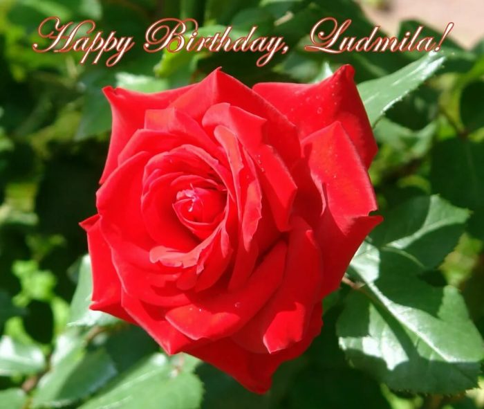 170 картинки с днем рождения для Людмилы