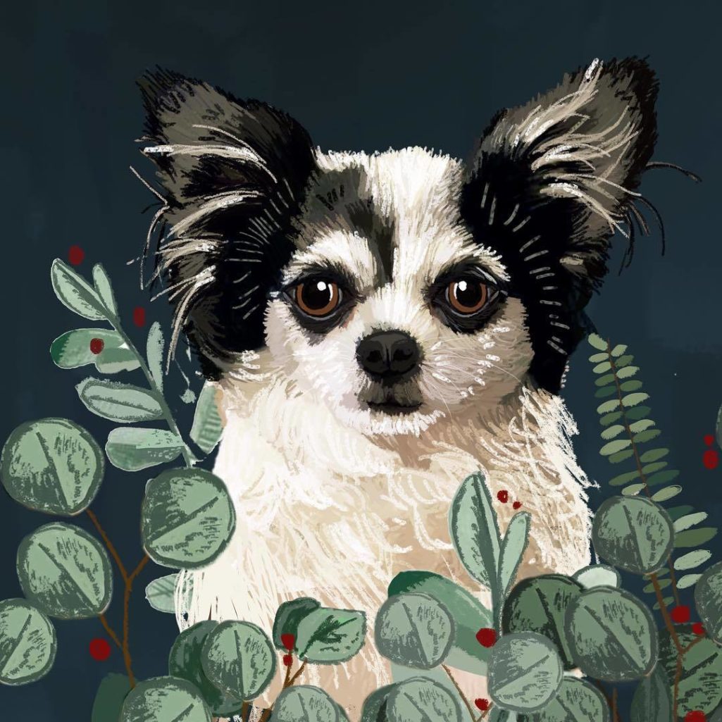 300+ красивых рисунков собаки (разные породы)
