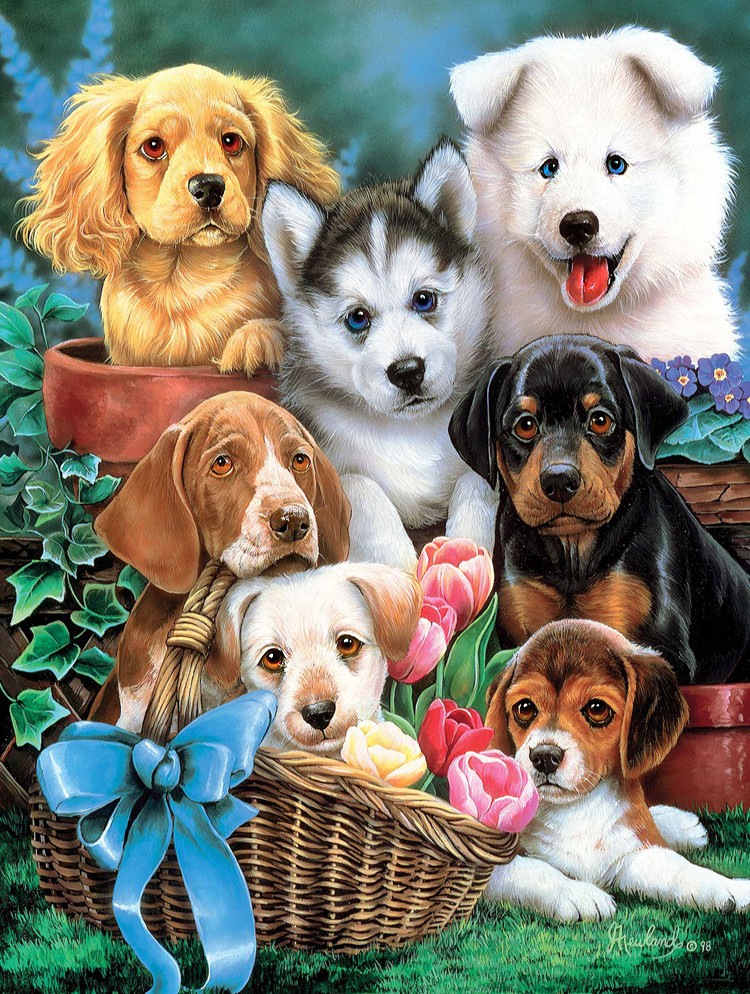 300+ красивых рисунков собаки (разные породы)