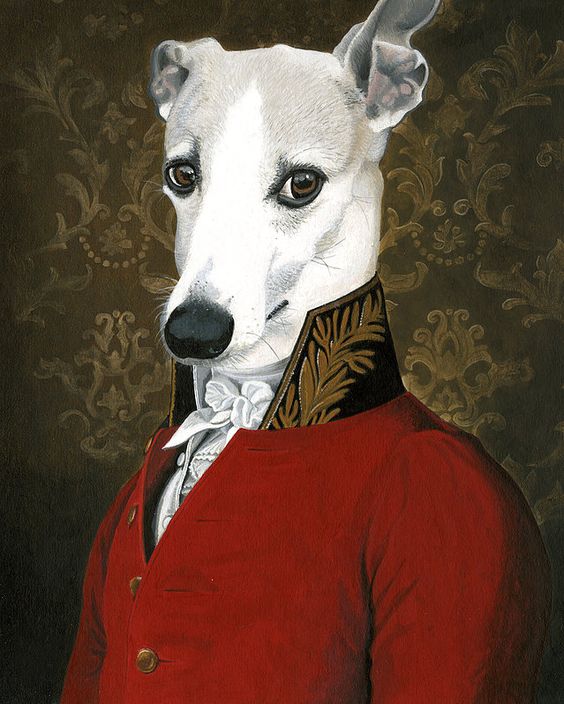 300+ красивых рисунков собаки (разные породы)